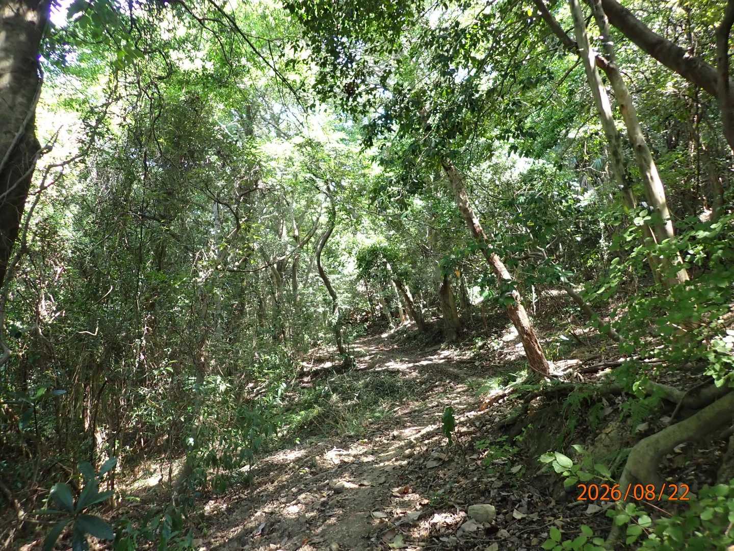 お墓から山へ登ります