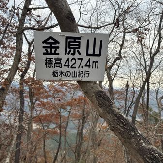 金原山着ここで急いでランチ！