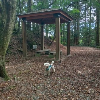 スマホのカメラが温度上昇でしばらく使えなくなり、10分ほど休憩しました。