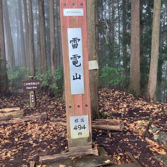RYDEENが頭から離れない