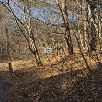 ゴールしたね！