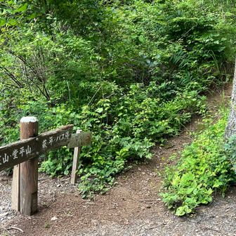 ちょっと山道
