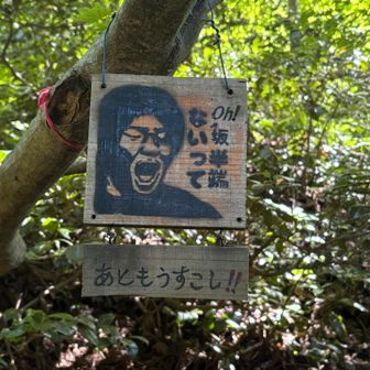 この看板を見て