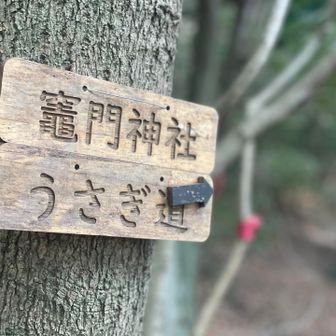 帰りはここの分岐から