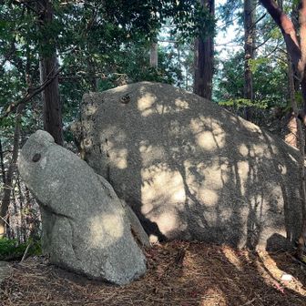 あしかの親子岩🪨