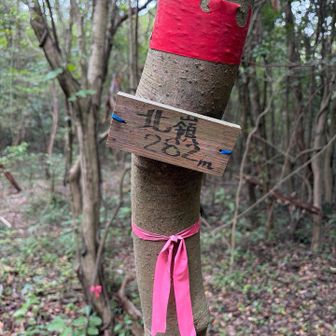 屋島北嶺🔺（３座目）にも立ち寄り