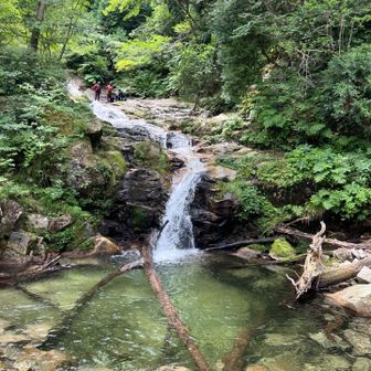 きたきた〜！滝
既に先客が遊んでる🏊‍♂️🏊‍♂️🏊‍♂️