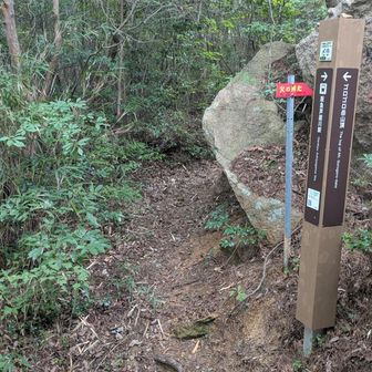 左側の石にも刻印がありました。