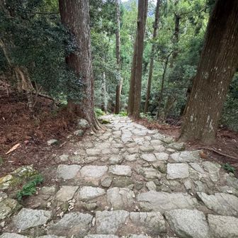 では、下っていきます