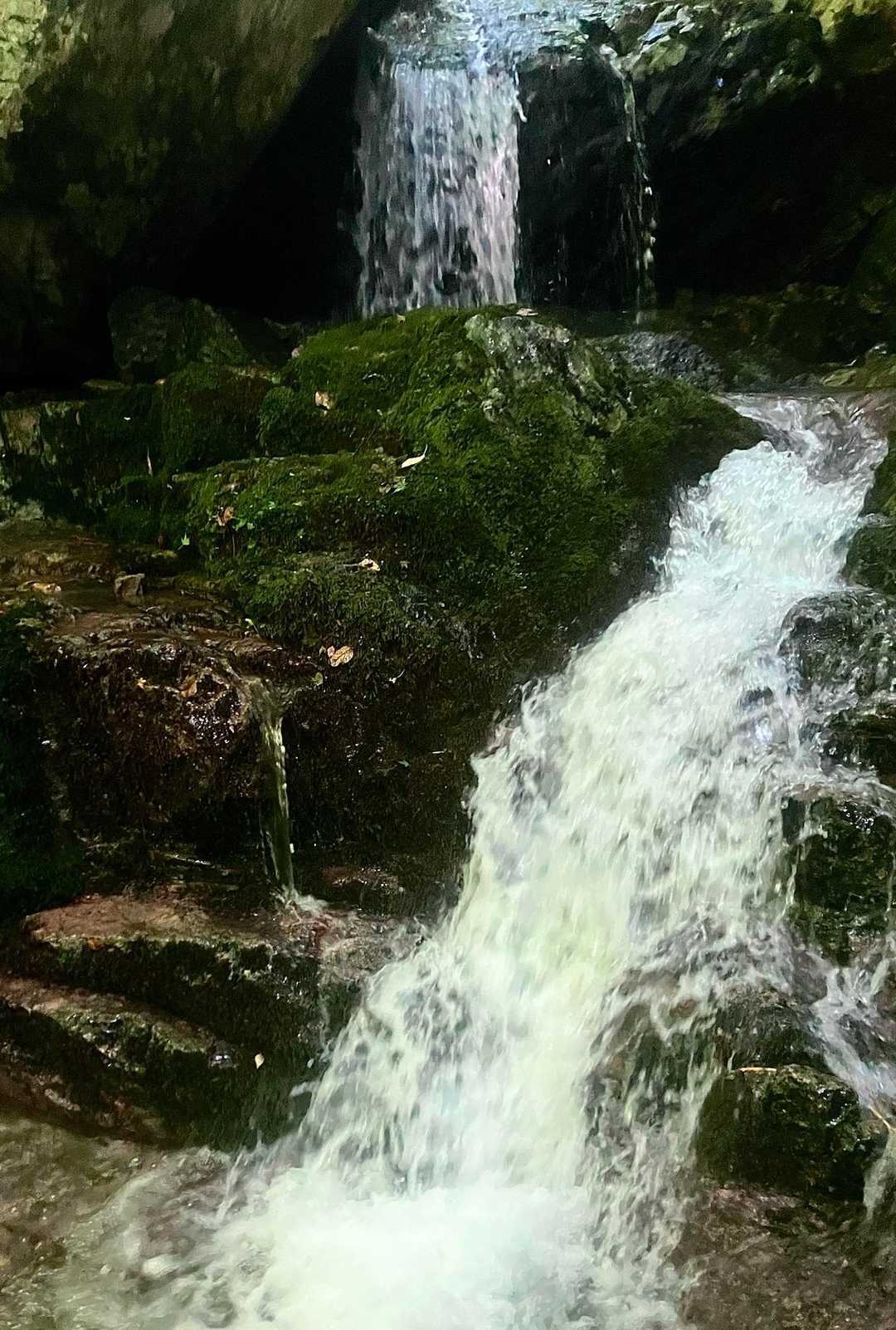 植松山 往復コースの写真