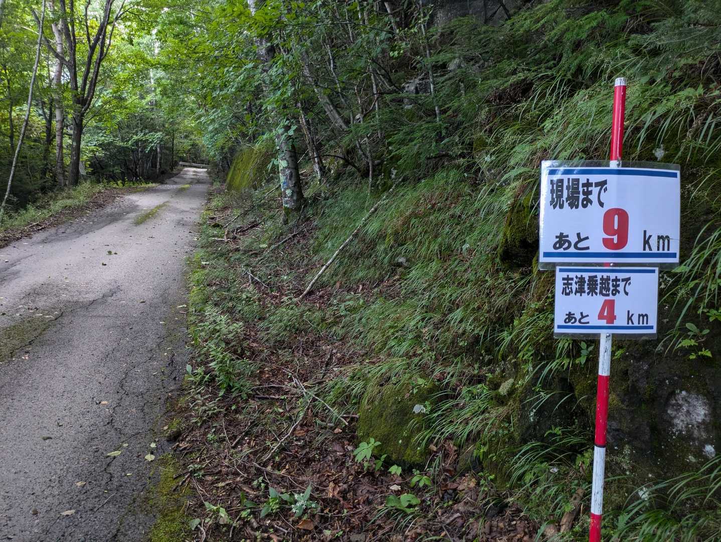 志津峠までは5km。なかなか辛いのです