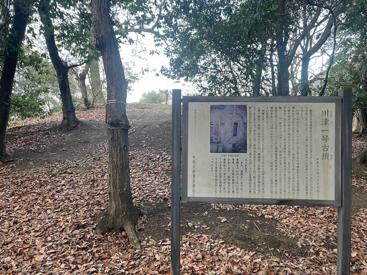 末高山の写真