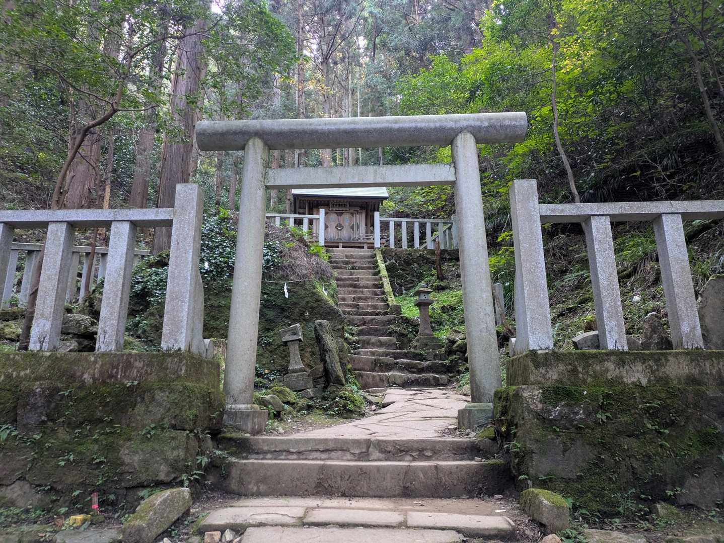 かびれ神宮🙏