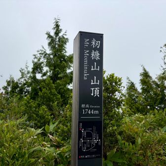 山頂に到着
今日は山頂貸し切りでした。
駐車場には2台の車しかなかったので想定内。