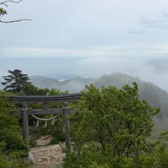 チラリと景色が見えました！