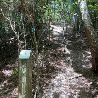 あゝやっと、向山のラスト