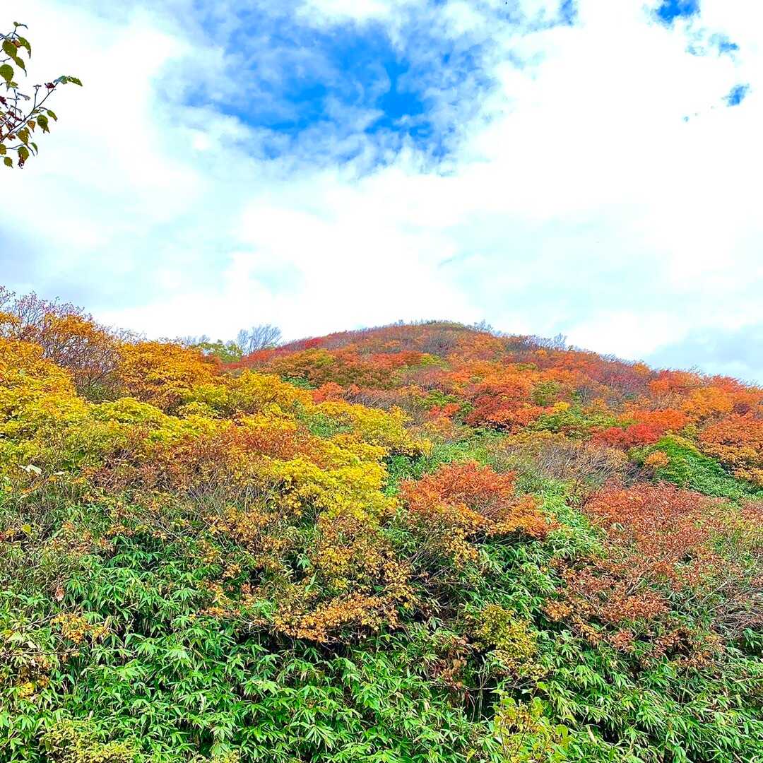 焼石岳の写真