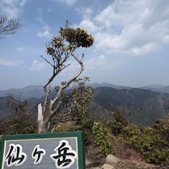 🚩　*\(^o^)/*
霞んでますが気持ち良い眺め
スペースも有るがランチは仙の石で…
戻りましょ