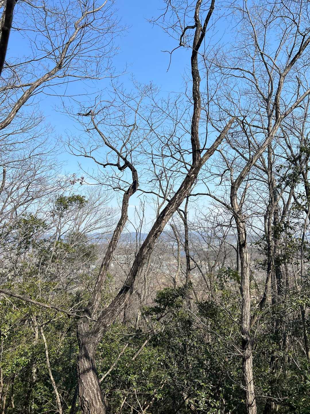 神明宮-萱場山 往復コースの写真