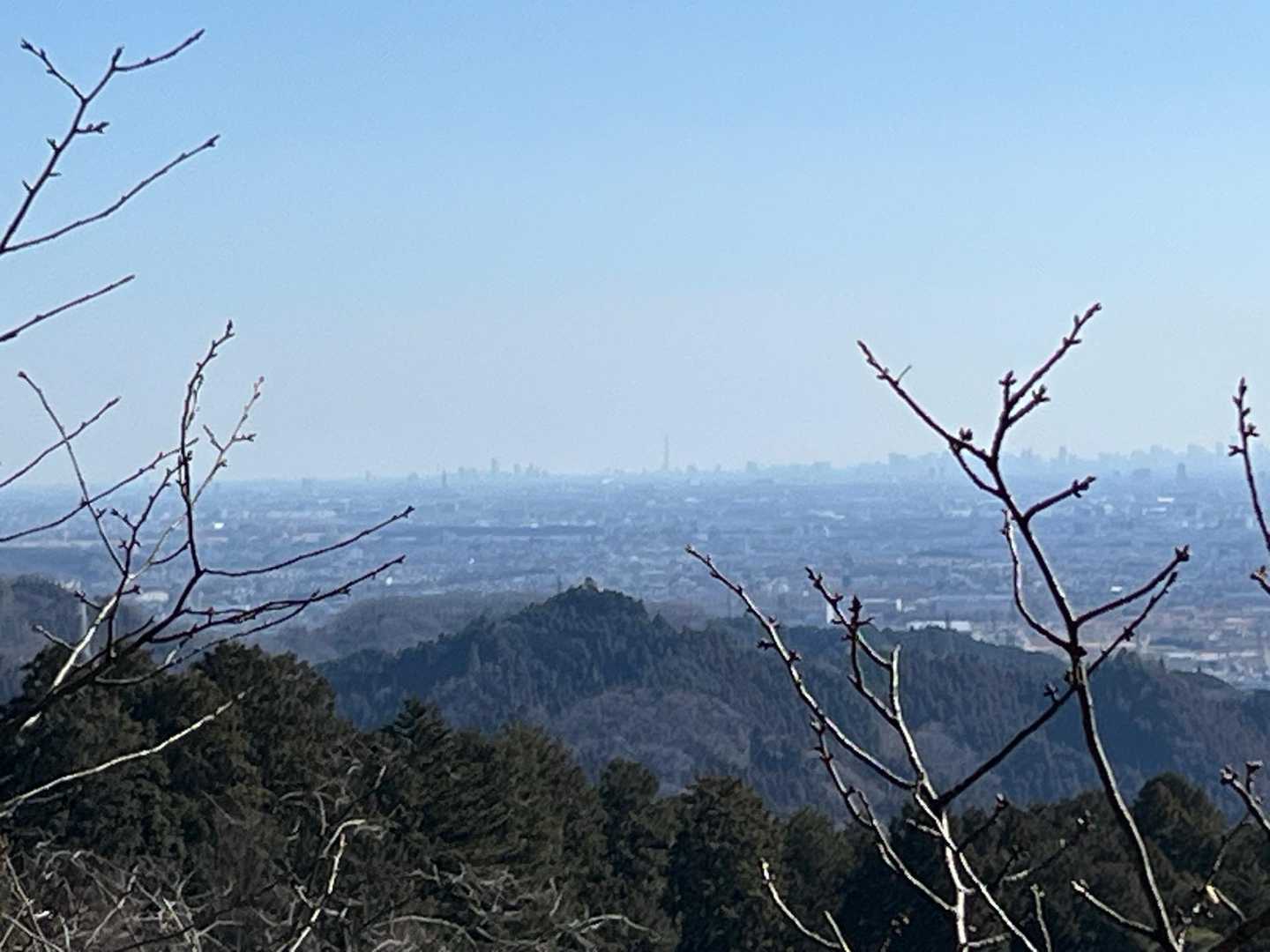 武蔵五日市駅-琴平神社-金比羅山-落合橋［あきる野市］バス 縦走コースの写真