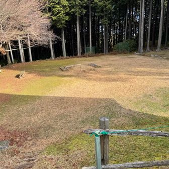 テント張れるね