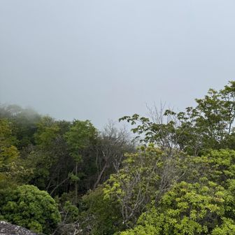 この先に絶景があるはず🥲