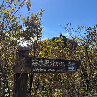 道標　霧氷分かれへ