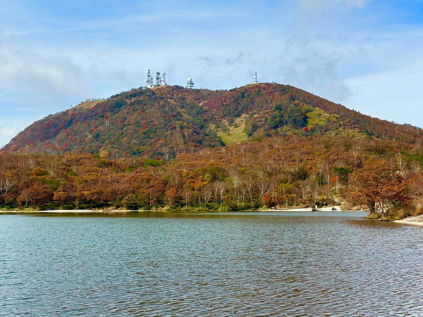 また直ぐ来るね👋
