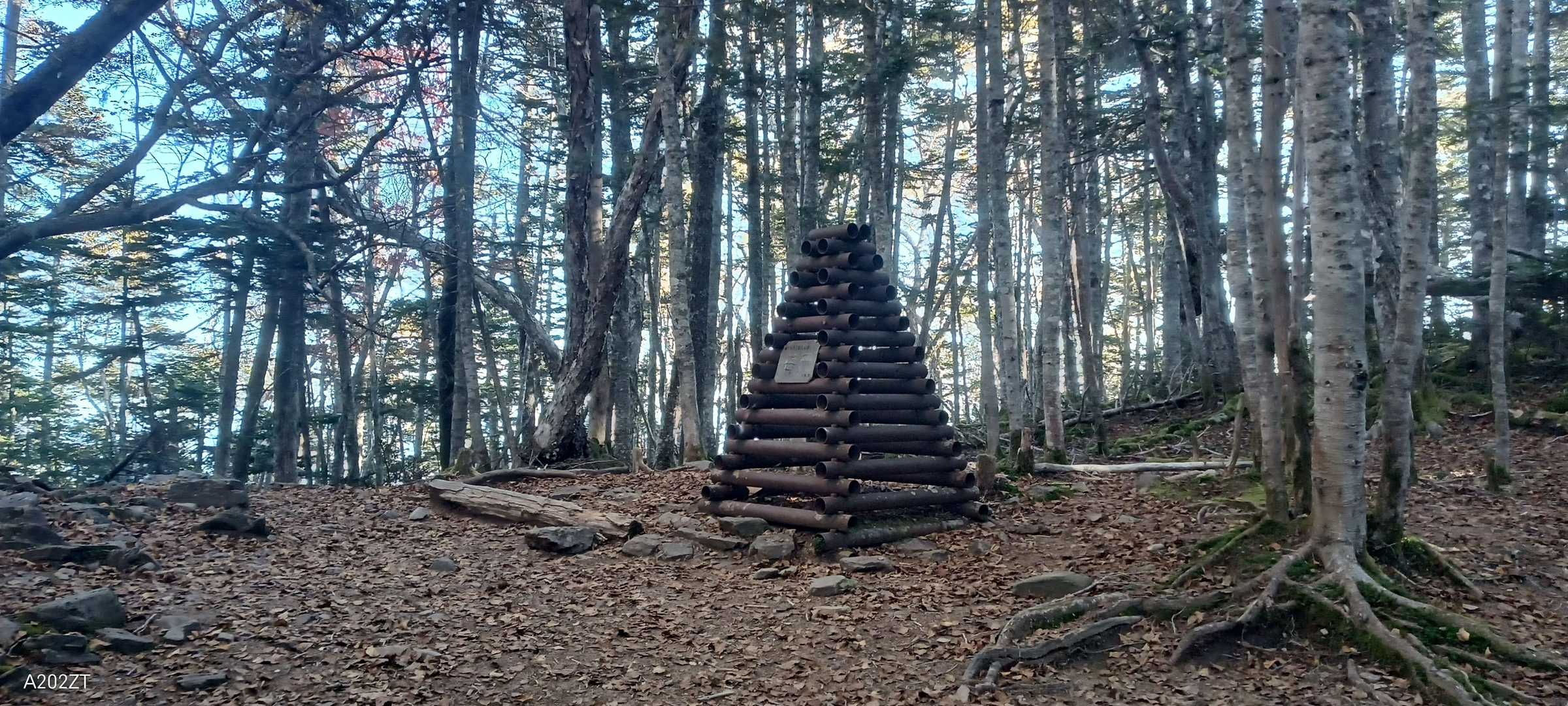 辻山は帰りに余裕なわあったら行こうかと思いましたが、余裕がないので行かず（笑）