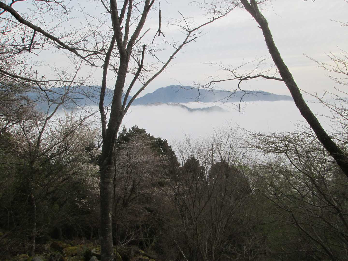 朝来山 周回コースの写真