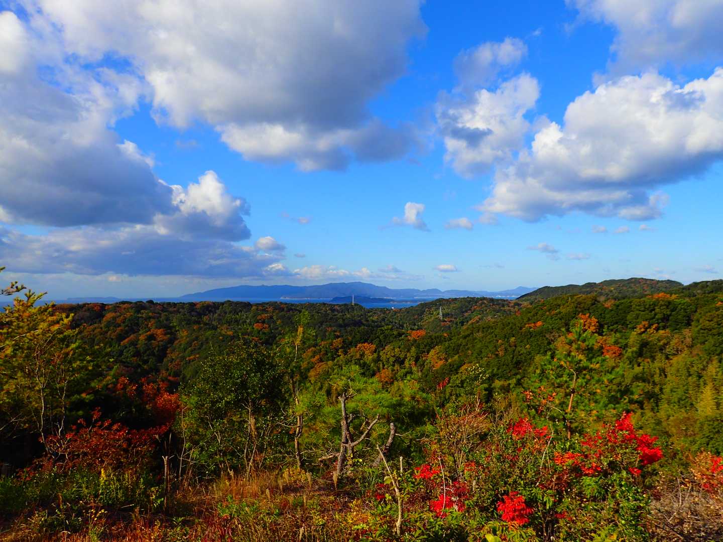 淡路島👍️