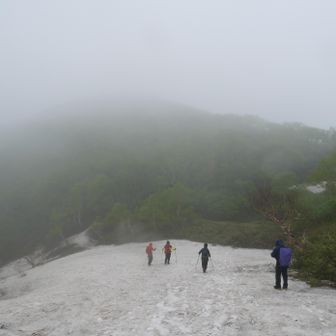 ブヨ沼手前に雪渓が残ってました・・