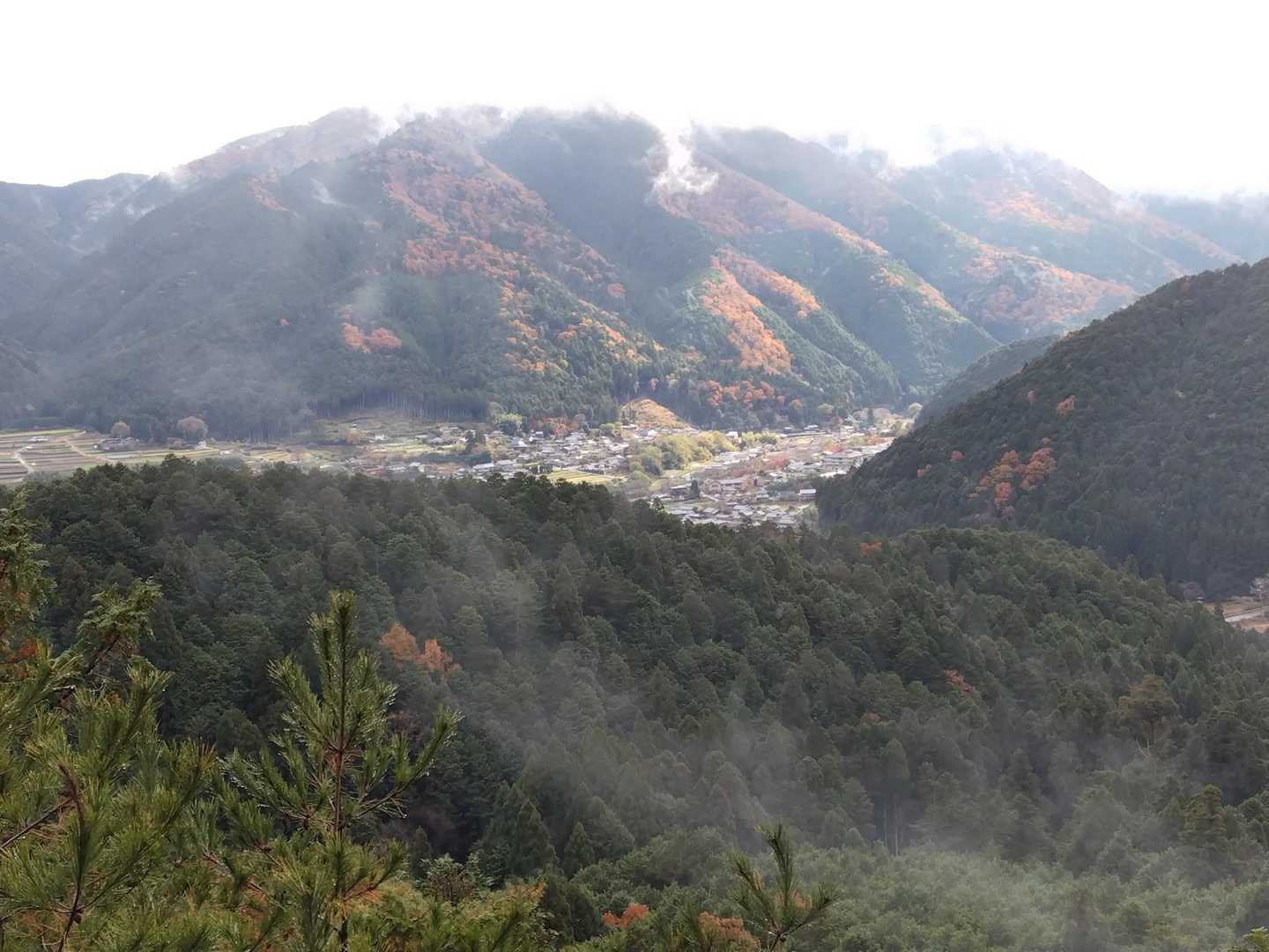 金毘羅山 往復コースの写真