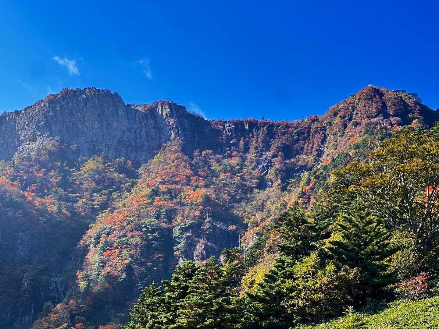 すでに沢山人影が見えました！