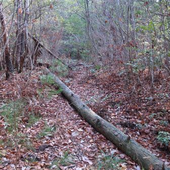 この辺で気づき戻ります