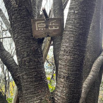 原岳の山標⭐️