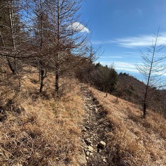 道満尾根経由で下山