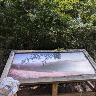 登山口からすぐの所にかつては展望所であっただろう場所に来ましたが、
草木が伸びまくってて、眺望ゼロ🙅‍♀️‼️

かつては
由布岳、くじゅう、万年山まで見えてたようです🤔
10年前のヤマッパーの日記見たら、凄い絶景が広がってました😳年月の凄さ‼️