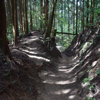 青崩道で下りますが
ちょっと⬅️に寄り道します

山頂を離れると、今までの賑わいはなんやったんや
って言うくらい😵
一気に温度差を感じる🤨