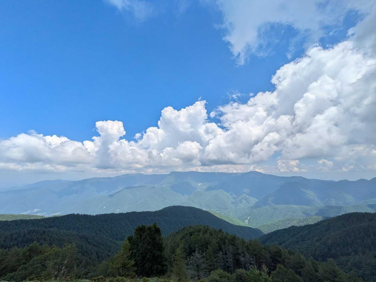 鉢伏山-前鉢伏山 周回コースの写真
