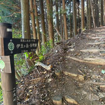 伊豆ヶ岳・吾野の標識