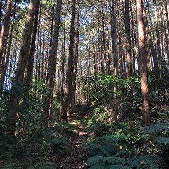 最初はこんな感じで…。