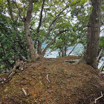 城山山頂とうちゃこ！
山頂プレート、三角点無し。