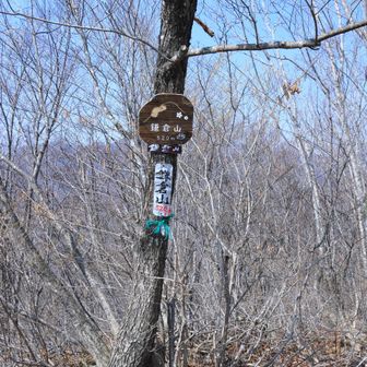 今日は、山頂でランチ。