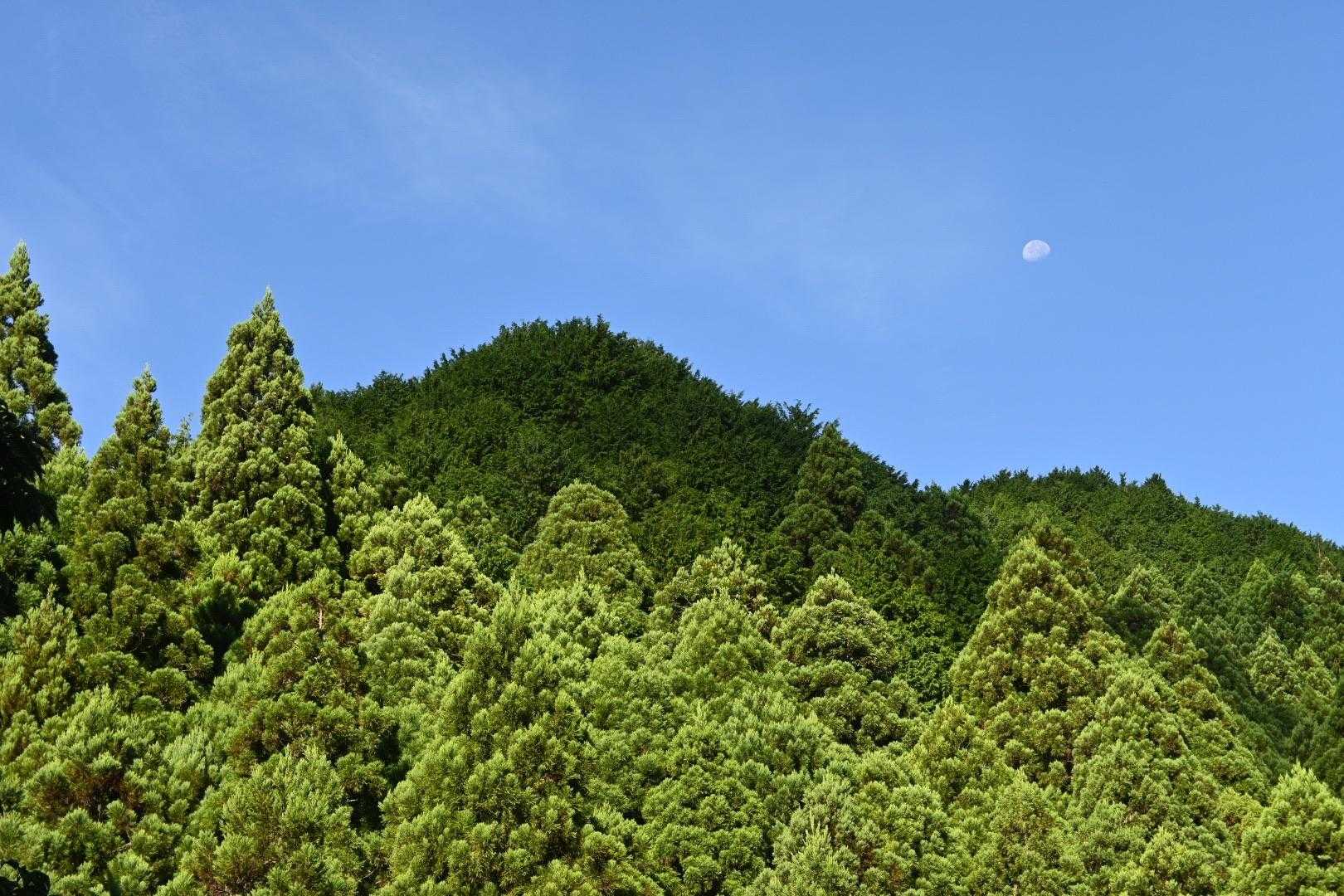 月が出てる✨
