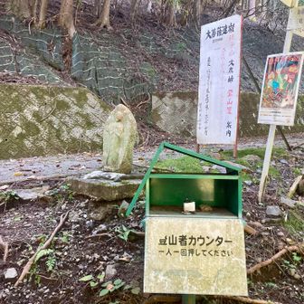人工物に激しく安心感を得ました笑