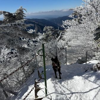 行くよ、お待たせしました。