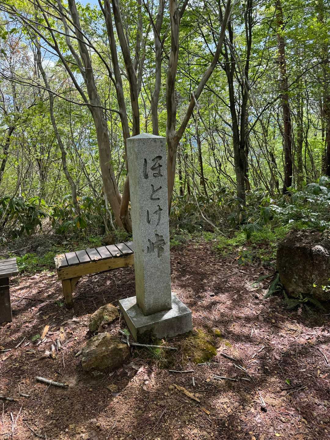 大倉岳 周回コースの写真