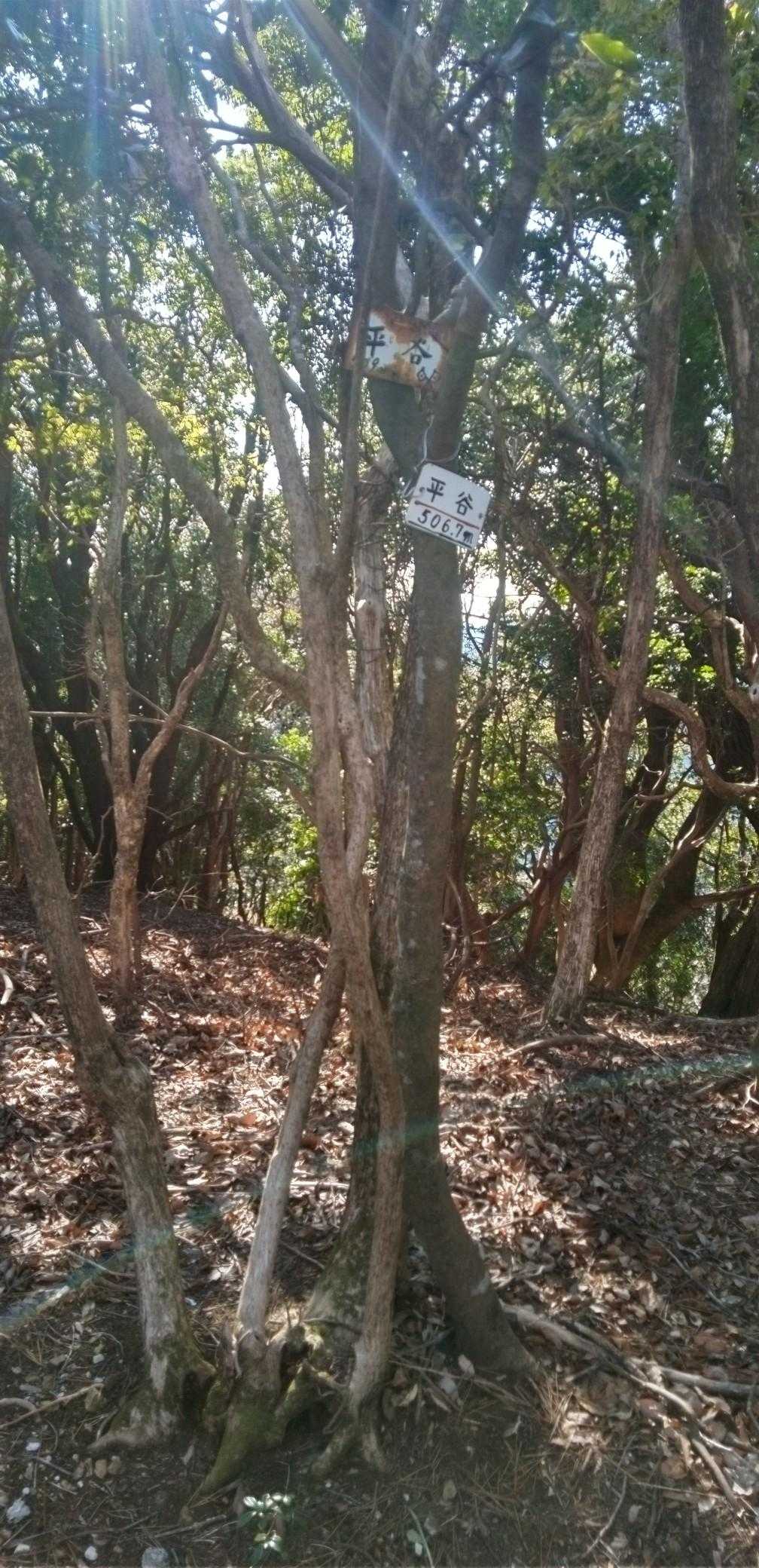 これも一応🚩なのかな🤔