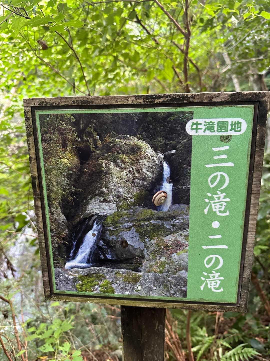 カタツムリ🐌看板